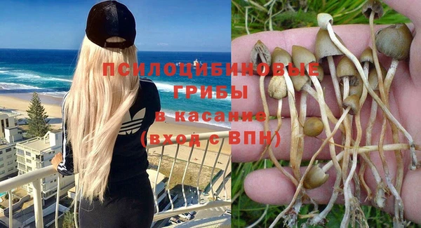 мескалин Абинск